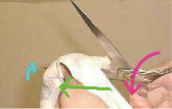 お手入れ その1 セーム革で磨く